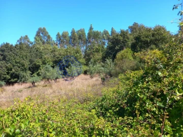 Terreno para Venda em Beco