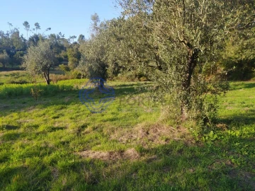 Terreno para Venda em Beco