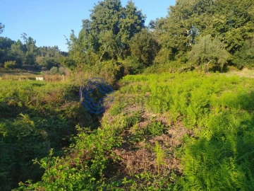 Terreno para Venda em Beco
