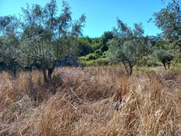 Terreno para Venda em Beco