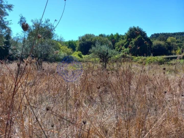 Terreno para Venda em Beco