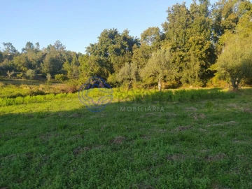 Terreno para Venda em Beco