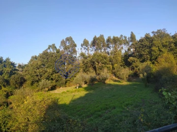Terreno para Venda em Beco