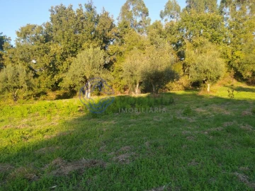 Terreno para Venda em Beco