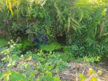 Terreno para Venda em Beco
