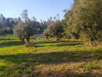 Terreno para Venda em Beco