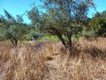 Terreno para Venda em Beco