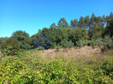 Terreno para Venda em Beco