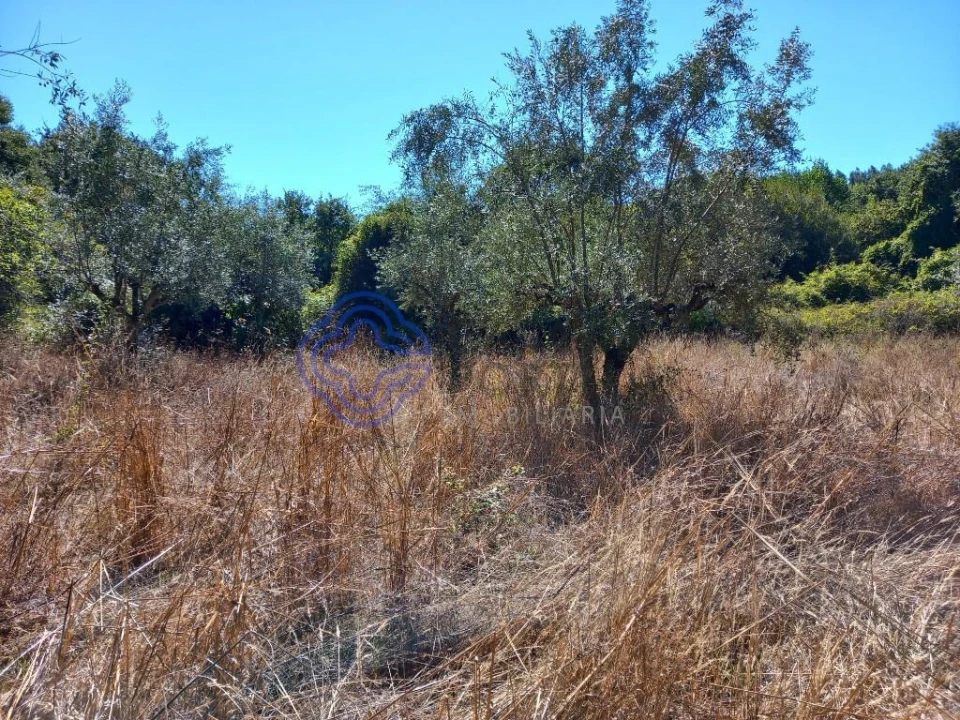 Terreno para Venda em Beco Foto 10