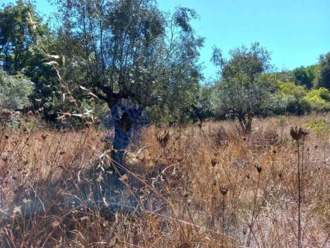 Terreno para Venda em Beco Foto 5