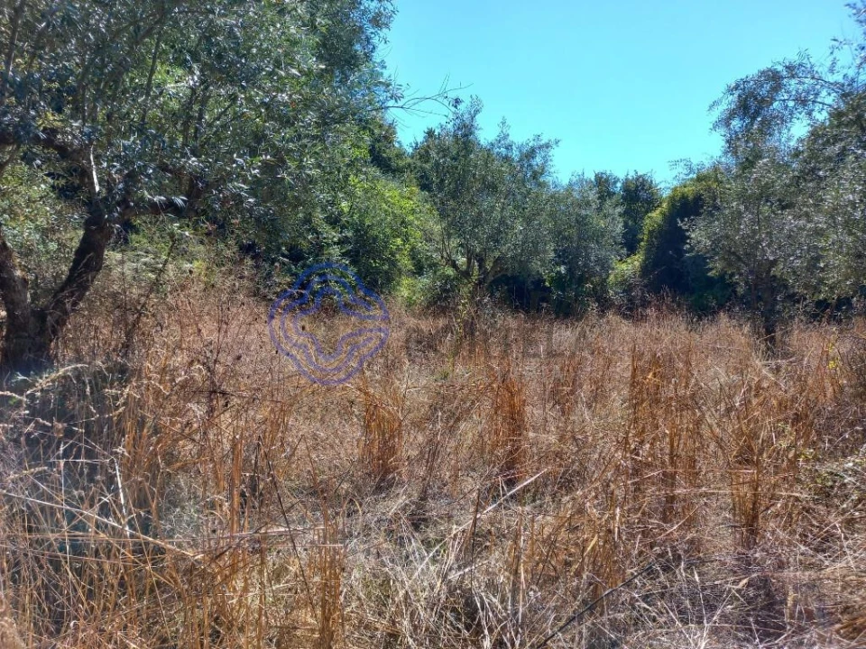 Terreno para Venda em Beco Foto 9