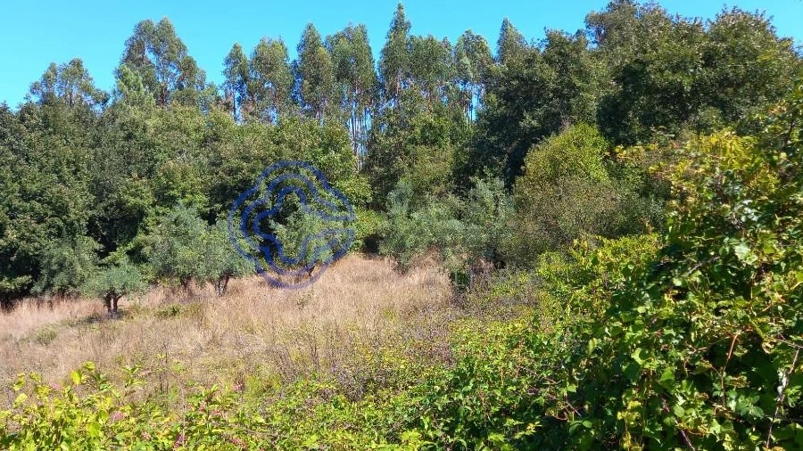 Terreno para Venda em Beco