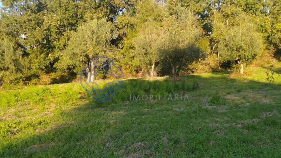 Terreno para Venda em Beco