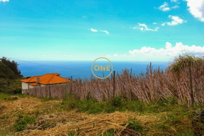 Terreno para Venda em Canhas