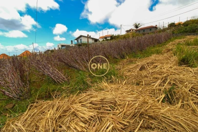 Terreno para Venda em Canhas