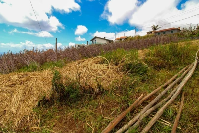 Terreno para Venda em Canhas