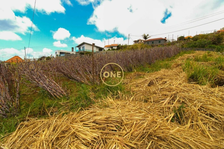 Terreno para Venda em Canhas Foto 4