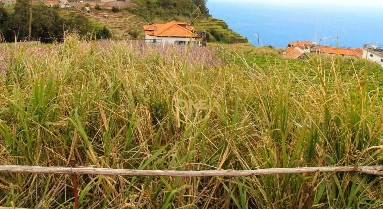 Terreno para Venda em Canhas Foto 3