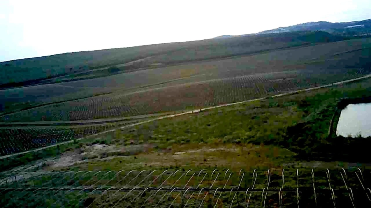 Quinta para Venda em Caia, São Pedro e Alcáçova Foto 9