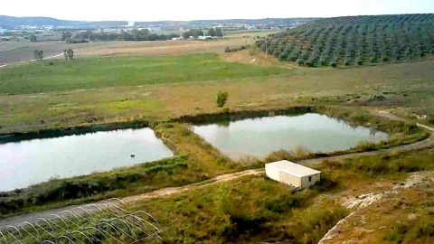 Quinta para Venda em Caia, São Pedro e Alcáçova