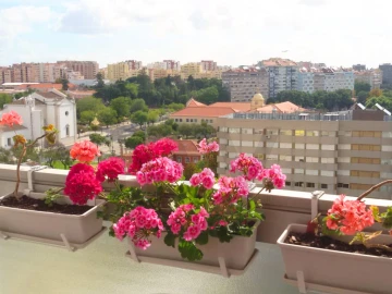 Apartamento T3 para Arrendamento em Carnide