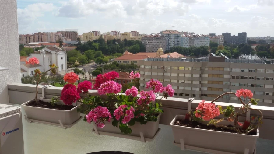 Apartamento T3 para Arrendamento em Carnide Foto 3