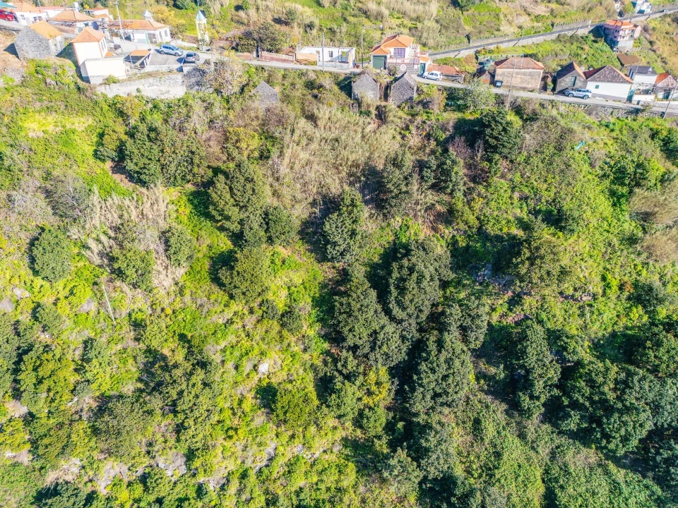 Terreno para Venda em Arco da Calheta Foto 12