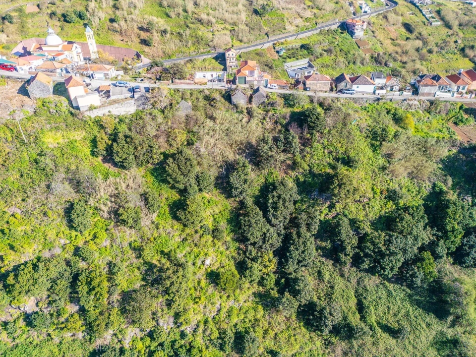 Terreno para Venda em Arco da Calheta Foto 10