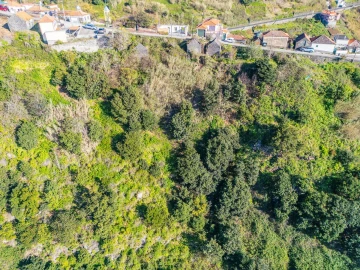 Terreno para Venda em Arco da Calheta