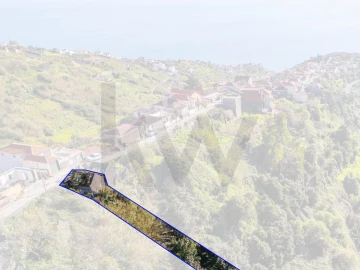 Terreno para Venda em Arco da Calheta