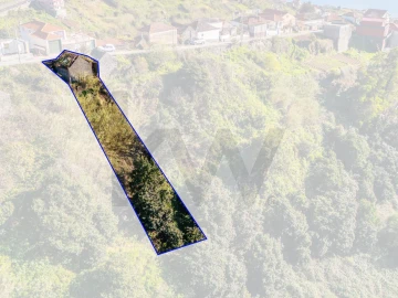 Terreno para Venda em Arco da Calheta
