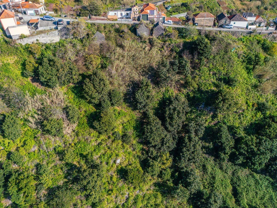 Terreno para Venda em Arco da Calheta Foto 8