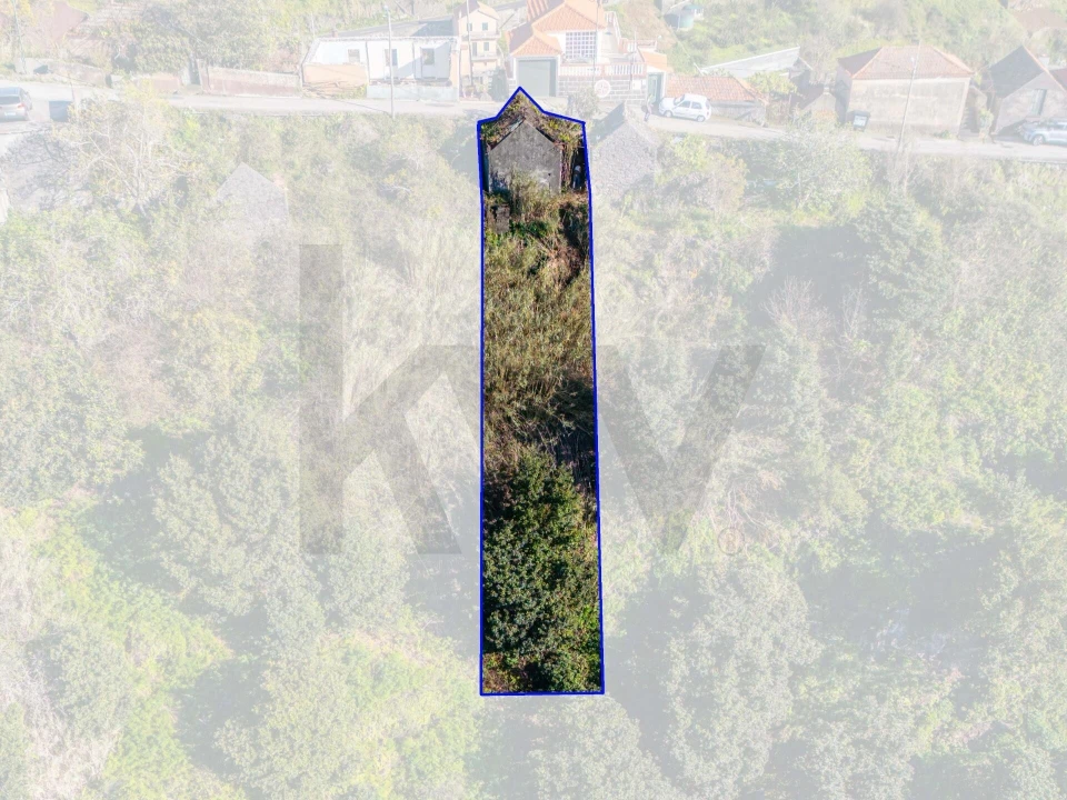 Terreno para Venda em Arco da Calheta Foto 19