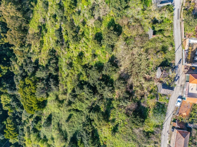 Terreno para Venda em Arco da Calheta Foto 5