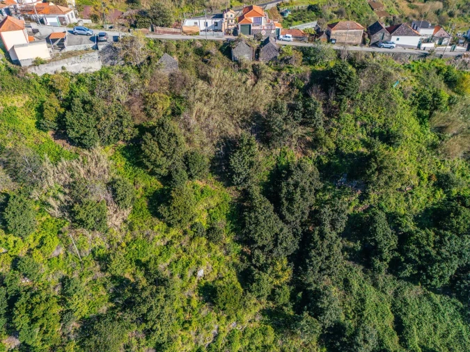 Terreno para Venda em Arco da Calheta Foto 8