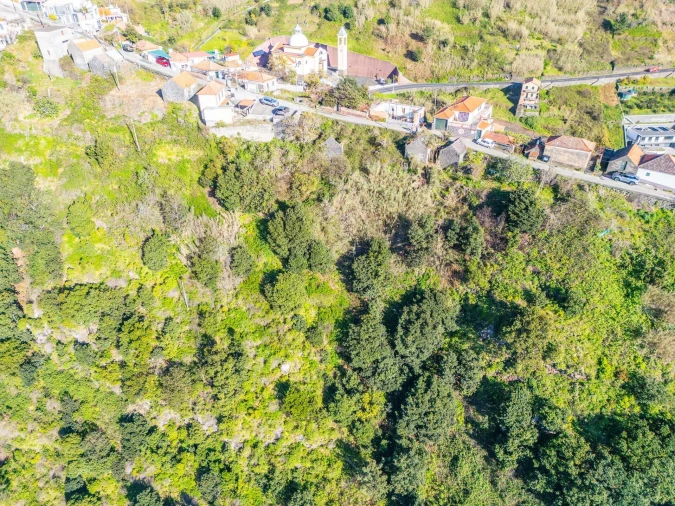 Terreno para Venda em Arco da Calheta Foto 11