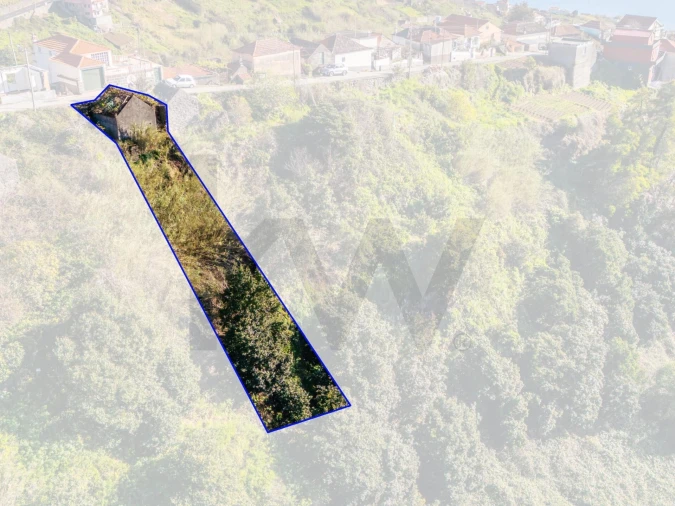 Terreno para Venda em Arco da Calheta Foto 14