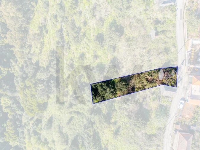 Terreno para Venda em Arco da Calheta Foto 3