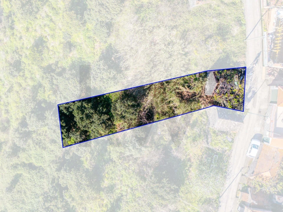Terreno para Venda em Arco da Calheta Foto 6