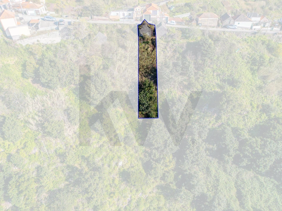 Terreno para Venda em Arco da Calheta Foto 18