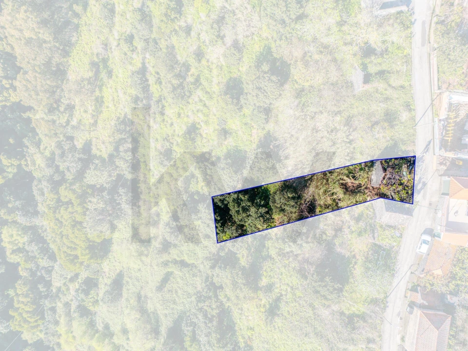 Terreno para Venda em Arco da Calheta Foto 3