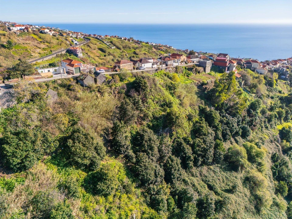 Terreno para Venda em Arco da Calheta Foto 13