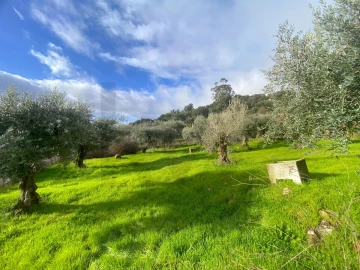 Moradia T3 para Venda em Vale de Prazeres e Mata da Rainha