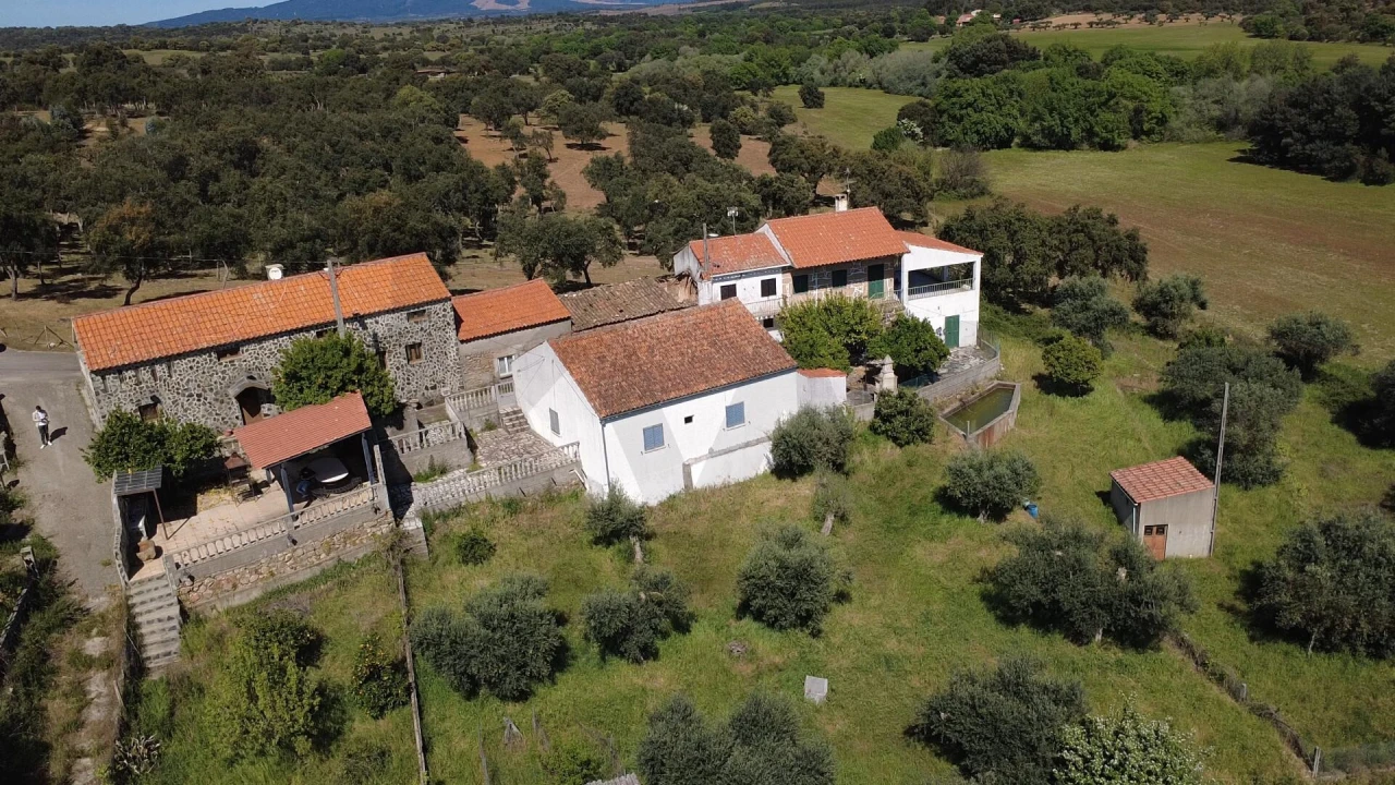 Moradia T3 para Venda em Vale de Prazeres e Mata da Rainha Foto 42