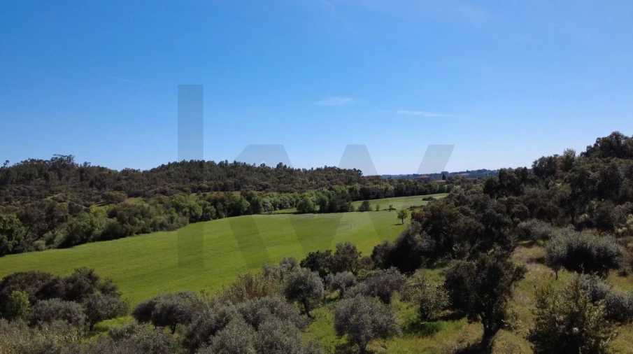 Moradia T3 para Venda em Vale de Prazeres e Mata da Rainha Foto 38