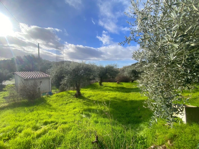 Moradia T3 para Venda em Vale de Prazeres e Mata da Rainha Foto 32