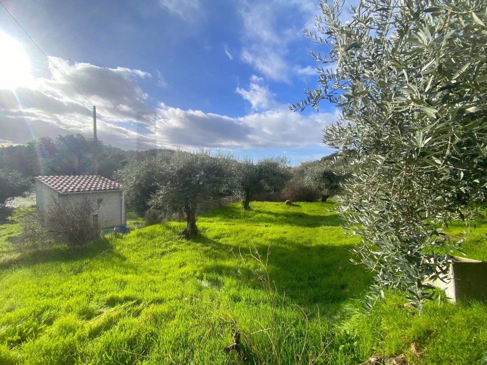 Moradia T3 para Venda em Vale de Prazeres e Mata da Rainha Foto 32