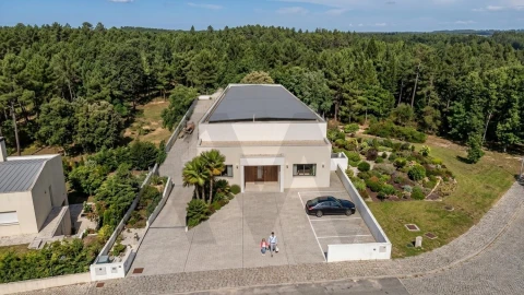 Apartamento T1 para Venda em Avelar