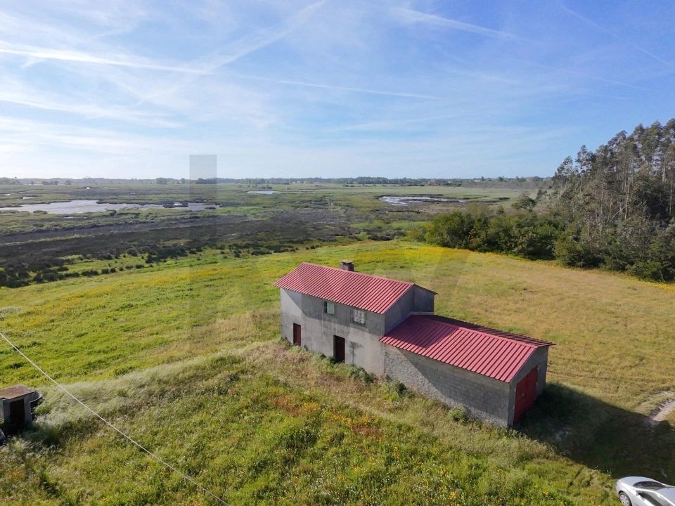 Terreno para Venda em Valega Foto 5