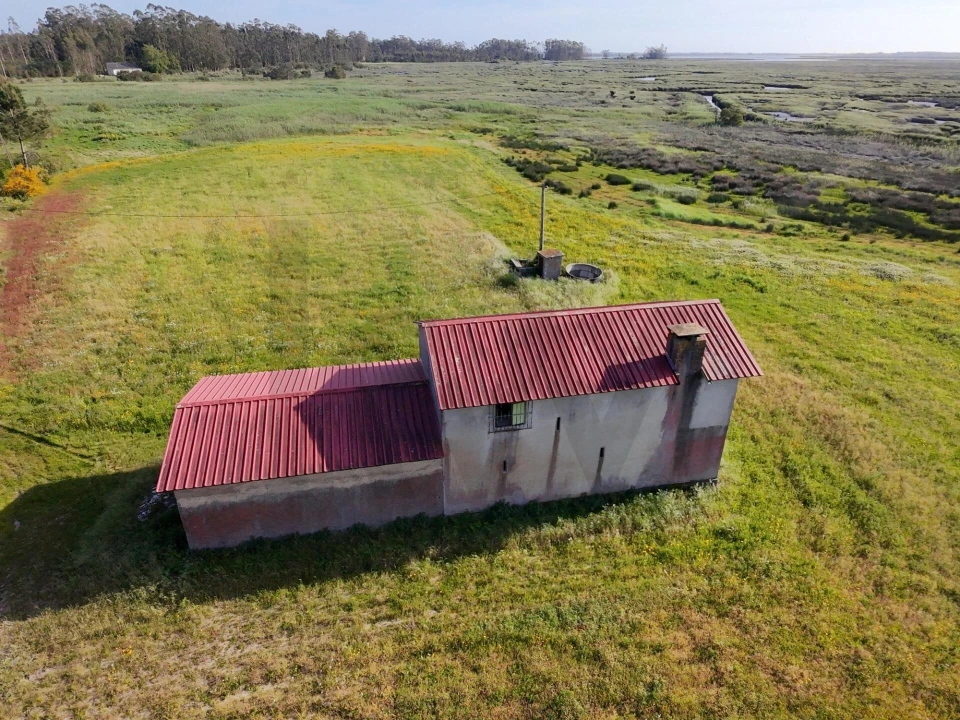 Terreno para Venda em Valega Foto 6